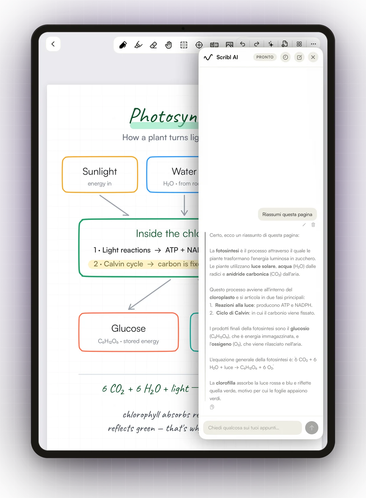 La chat di Scribl AI che riassume la pagina aperta sulla fotosintesi