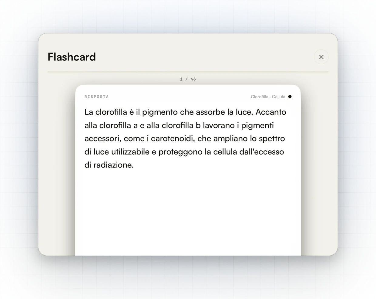 Una flashcard girata sulla risposta, con i pulsanti Sbagliata e Giusta